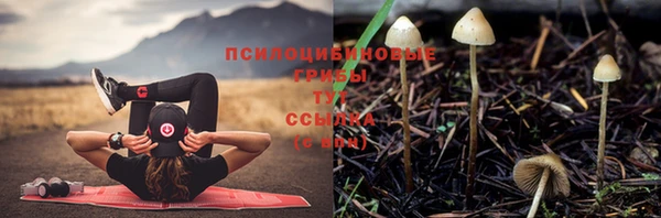 каннабис Протвино