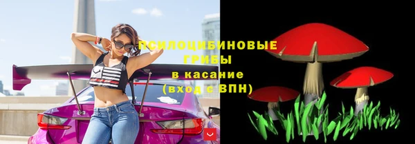 амф Покров