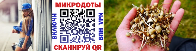 Псилоцибиновые грибы мицелий  наркота  Рузаевка 