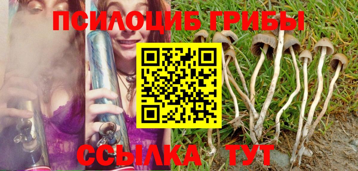 Псилоцибиновые грибы Magic Shrooms  Вход с VPN  Псилоцибиновые грибы Magic Shrooms  Рузаевка 