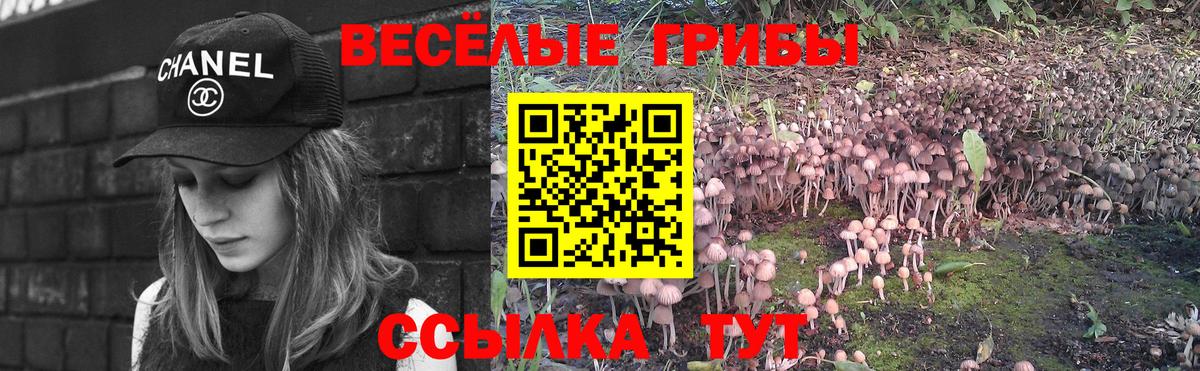 Псилоцибиновые грибы мухоморы  Рузаевка 